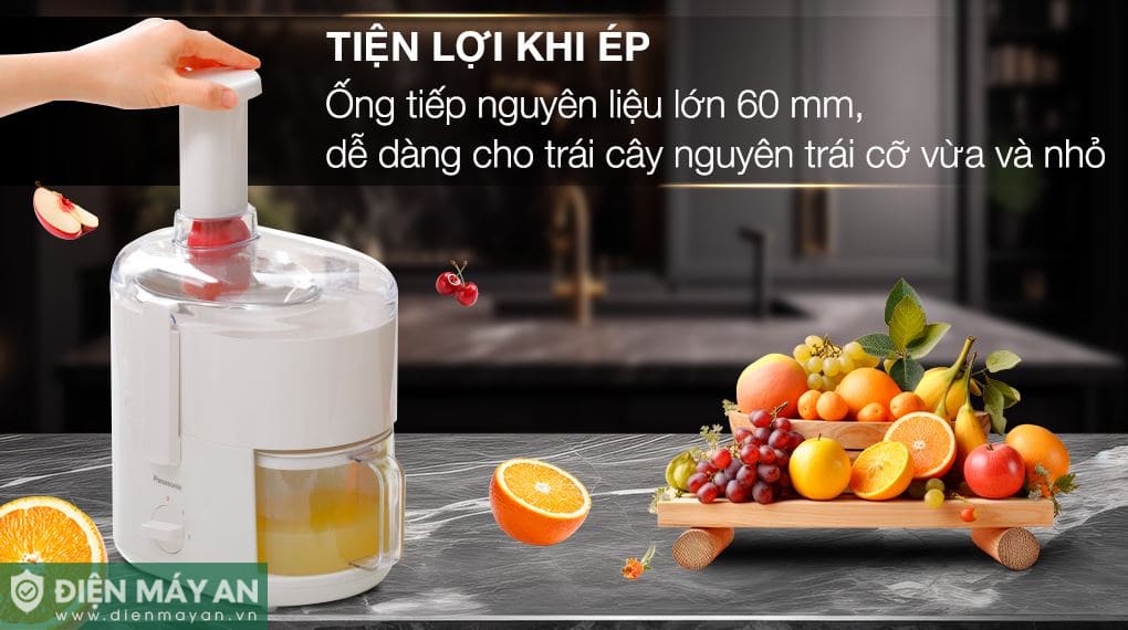 Máy ép trái cây Panasonic MJ-CS100WRA